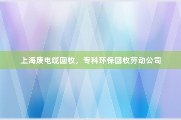 上海废电缆回收，专科环保回收劳动公司